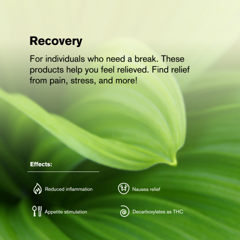 Hindu Kush King Size Pre-Roll - Indica - 1.5g - THCA - 5 Joints - Thumbnail 9