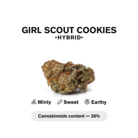 Girl Scout Cookies Mini Pre-Roll - Indica - 0.5g - THCA - 5 Joints - Thumbnail 5