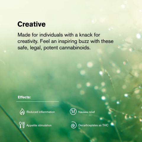 Girl Scout Cookies Mini Pre-Roll - Indica - 0.5g - THCA - 5 Joints - Thumbnail 9