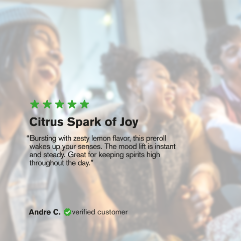 Lemon Skunk King Size Pre-Roll - Hybrid - 1.5g - THCA - 1 Joint - Thumbnail 9