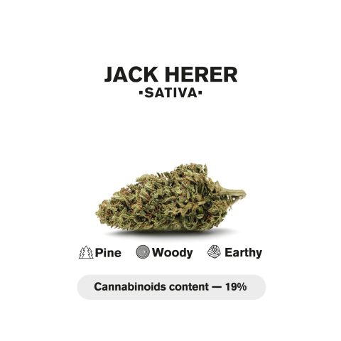 Jack Herer Mini Pre-Roll - Sativa - 0.5g - THCA - 5 Joints - Thumbnail 5