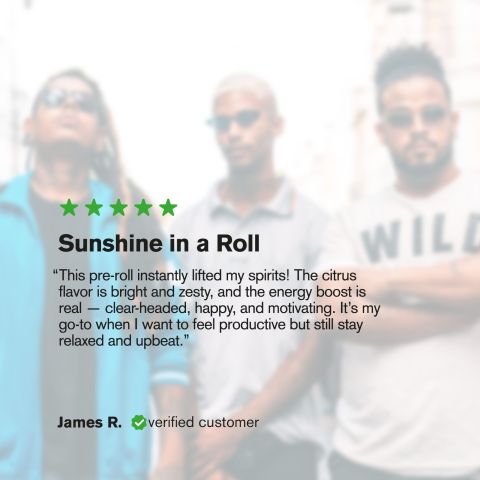 Super Lemon Haze King Size Pre-Roll - Sativa - 1.5g - THCA - 5 Joints - Thumbnail 10