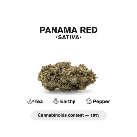 Panama Red King Size Pre-Roll - Sativa - 1.5g - THCA - 1 Joint - Thumbnail 5