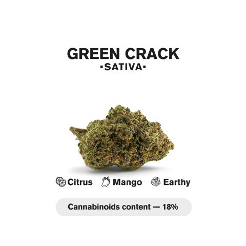 Green Crack King Size Pre-Roll - Sativa - 1.5g - THCA - 5 Joints - Thumbnail 5