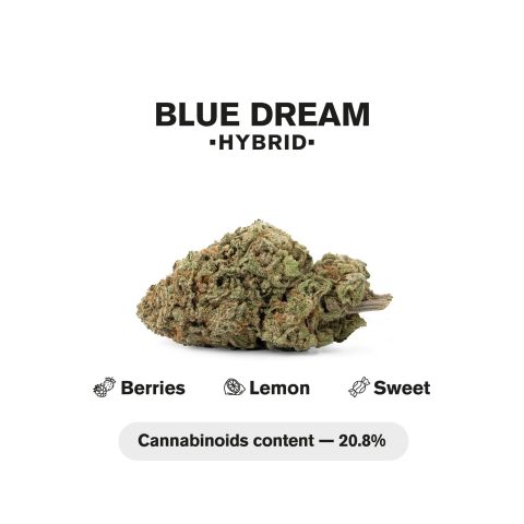 Blue Dream Flower - Hybrid - THCA - Thumbnail 3