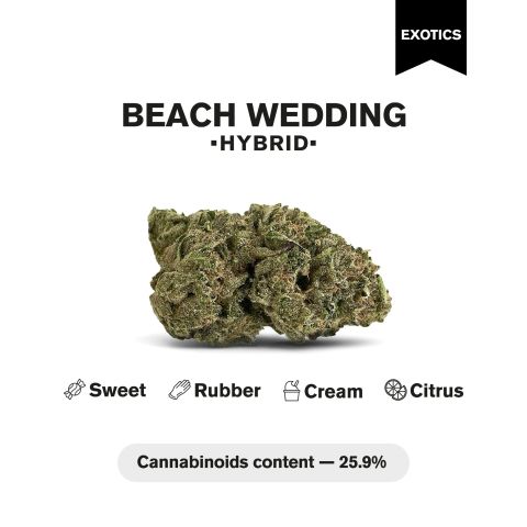 Beach Wedding Flower - Hybrid - THCA - Thumbnail 5