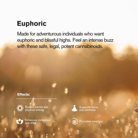 Delta 8 Gummies - 100mg - Sour Watermelon Rings - Chill Extreme - Thumbnail 9