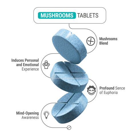 Magic Mushroom Tablets - 1,200mg - Blueberry - 1ct - Thumbnail 4