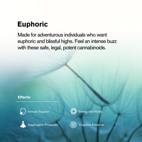 Magic Mushroom Tablets - 1,200mg - Blueberry - 1ct - Thumbnail 7