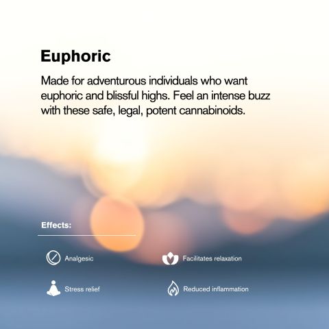 CBG Tablets - 25mg - Berries - Chill Plus - 1ct - Thumbnail 7