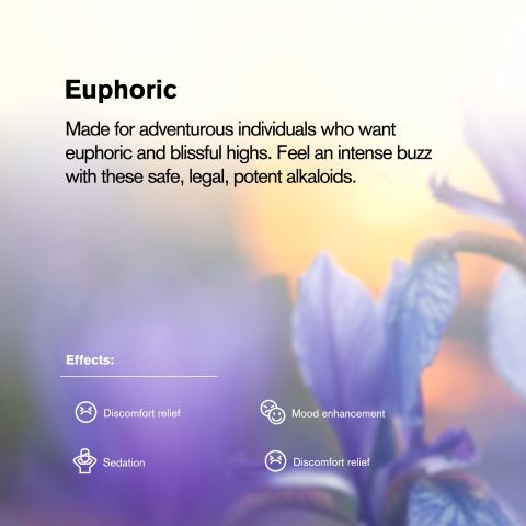 Mitragynine Tablets - 100mg - Blueberry - Chill Plus - 1ct - Thumbnail 7