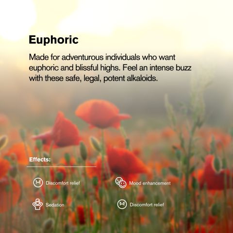 Mitragynine Tablets - 200mg - Mango - Chill Plus - 1ct - Thumbnail 7