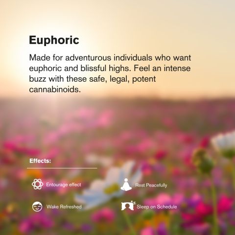 D8 & THCP Gummies - 500mg - Fruity Mix - Chill Extreme - Thumbnail 8