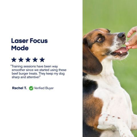 Burger Beef Minis - CBD Pet Treats For Dogs - 1,000mg - MediPets - Thumbnail 6