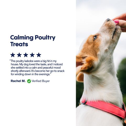 Kabobs - CBD Pet Treats For Dogs - 200mg - MediPets - Thumbnail 6