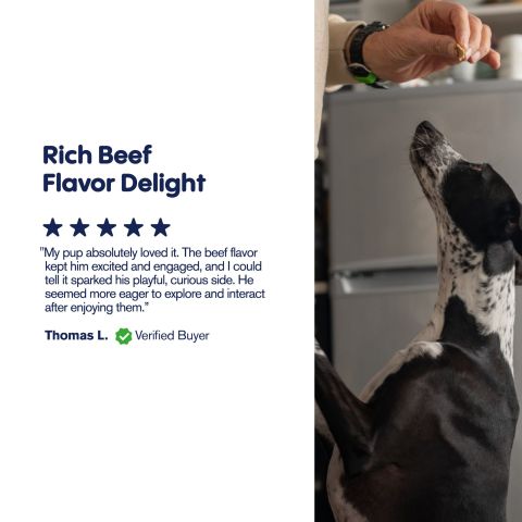 Meaty Steak - CBD Pet Treats For Dogs - 200mg - MediPets - Thumbnail 6