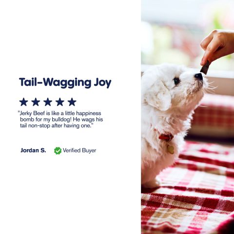 Beef Jerky - CBD Pet Treats For Dogs - 600mg - MediPets - Thumbnail 6