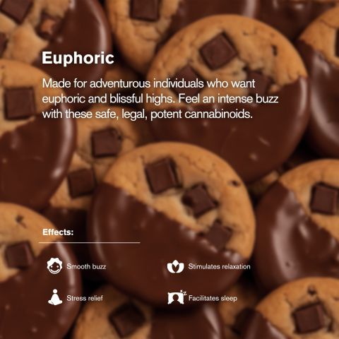 Delta 8 Chocolate Chunk Cookie - 100mg - Chill Plus - Thumbnail 5