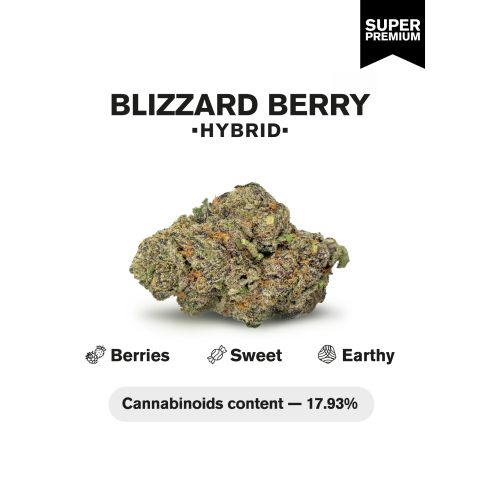 Blizzard Berry Flower - Hybrid - THCA - Thumbnail 3