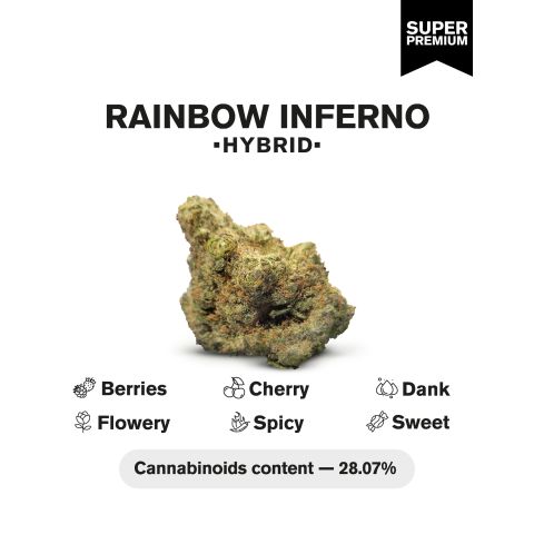 Rainbow Inferno Flower - Hybrid - THCA - Thumbnail 3