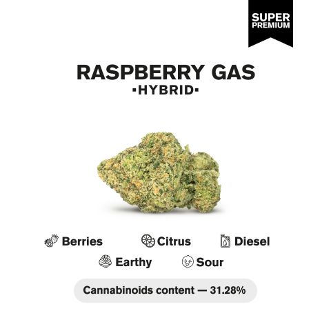 Raspberry Gas Flower - Hybrid - THCA - Thumbnail 3