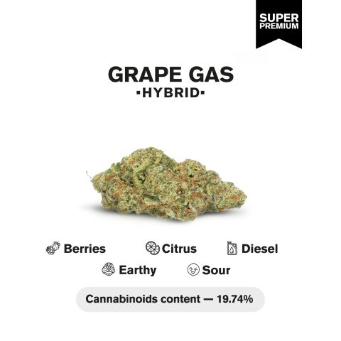 Grape Gas Flower - Hybrid - THCA - Thumbnail 3