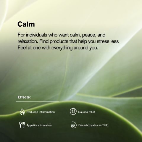 Platinum Do Si Do Flower - Indica - THCA - Thumbnail 5