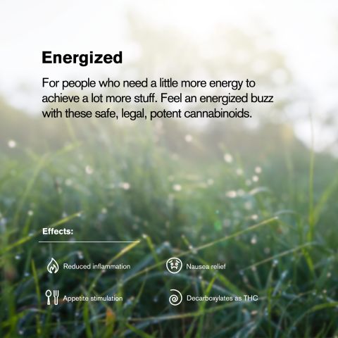 Green Crack Flower - Sativa - THCA - Thumbnail 5