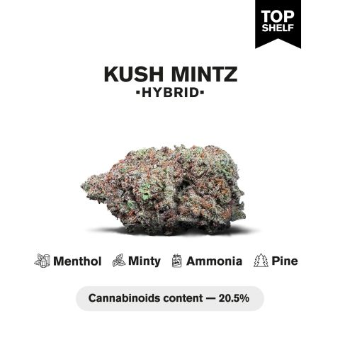 Kush Mintz Flower - Hybrid - THCA - Thumbnail 3