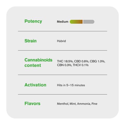 Kush Mintz Flower - Hybrid - THCA - Thumbnail 4