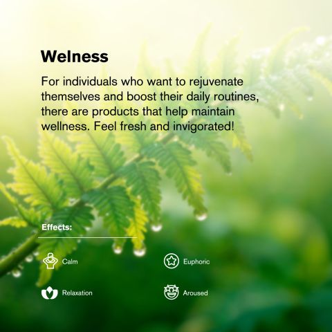 Kush Mintz Flower - Hybrid - THCA - Thumbnail 5