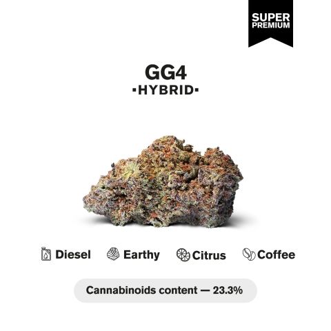 GG4 Flower - Hybrid - THCA - Thumbnail 3