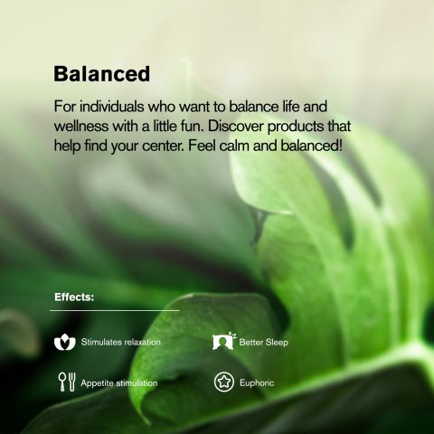 GG4 Flower - Hybrid - THCA - Thumbnail 5