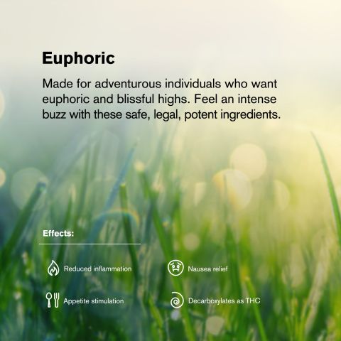 Super Lemon Haze Flower - Sativa - THCA - Thumbnail 5