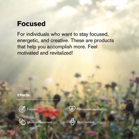 CBC Nano Tablets - 25mg - Unflavored - Chill Plus - 1ct - Thumbnail 7