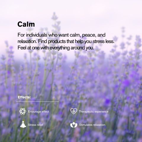 Broad Spectrum CBD Tablets - 50mg - Grape - Chill Plus - 1ct - Thumbnail 7