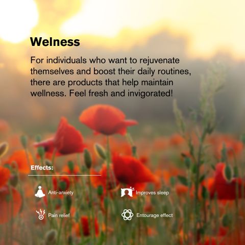 CBD Nano Tablets - 50mg - Green Apple - Chill Plus - 1ct - Thumbnail 7