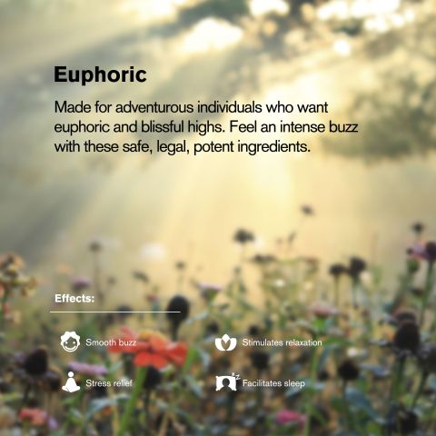 Delta 9 Nano Tablets - 25mg - Lemon - Chill Plus - 1ct - Thumbnail 7