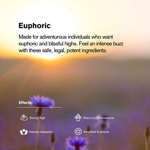 THCP Nano Tablets - 50mg - Fruit Punch - Chill Plus - 1ct - Thumbnail 7