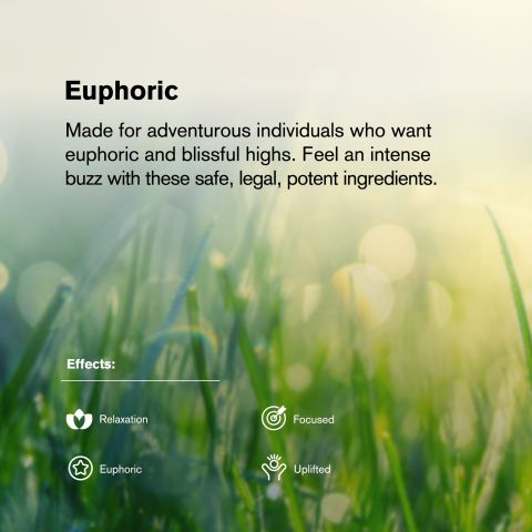 Jokerz Candy Flower - Hybrid - THCA - Thumbnail 5