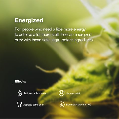 Sativa Blend Trim Flower - Sativa - THCA - Thumbnail 5