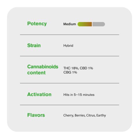 Black Cherry Gelato Flower - Indica - THCA - Thumbnail 4