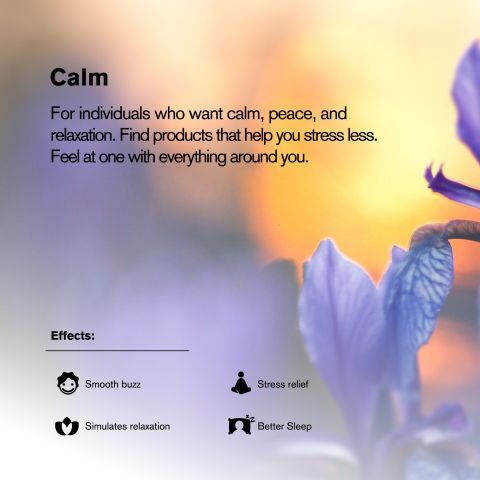 Delta 8 Tablets - 25mg - Pineapple - Chill Plus - 60ct - Thumbnail 7