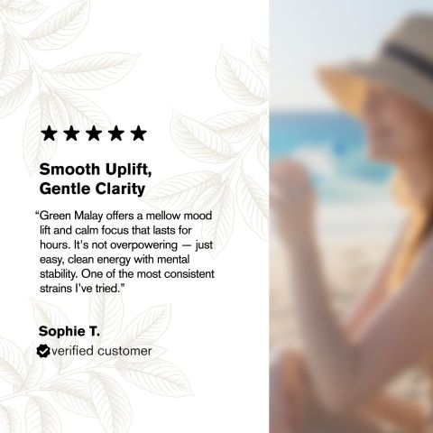 Kratom Powder - 100g - Green Malay - Chill Plus - Thumbnail 6