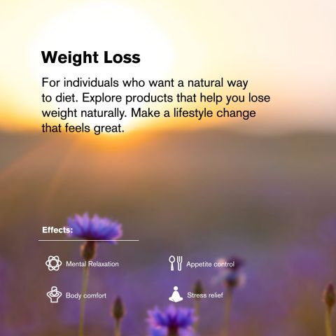 L-THP Tablets - 50mg - Green Apple Mint - Chill Extreme - Thumbnail 7