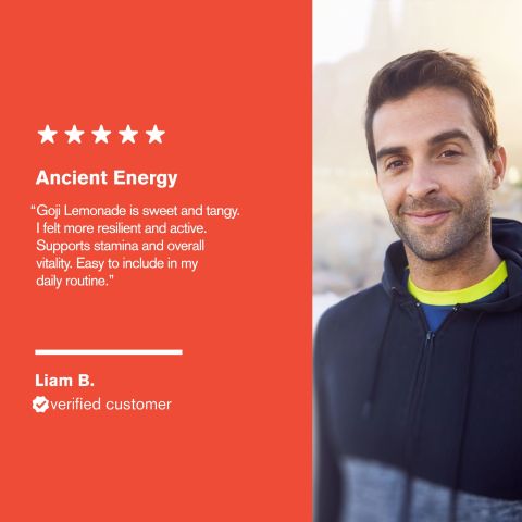 500mg Asian Vitality Blend Tablets - Goji Lemonade - Mood Tablets - Thumbnail 7