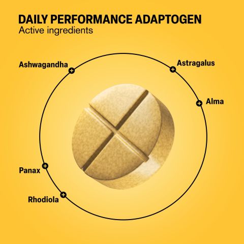 500mg Daily Performance Adaptogen Tablets - Pineapple Ginger - Mood Tablets - Thumbnail 5