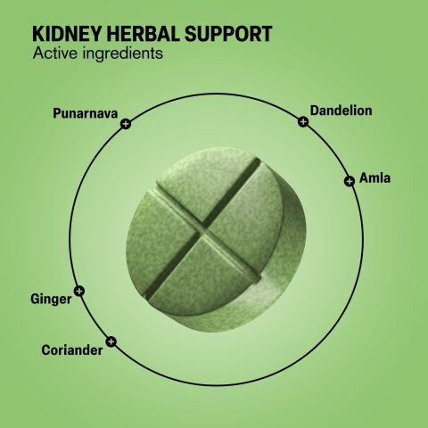 500mg Kidney Herbal Support Tablets - Lemon Mint - Mood Tablets - Thumbnail 5