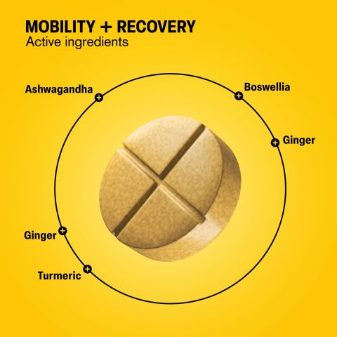 500mg Mobility + Recovery Tablets - Lemon Ginger - Mood Tablets - Thumbnail 5