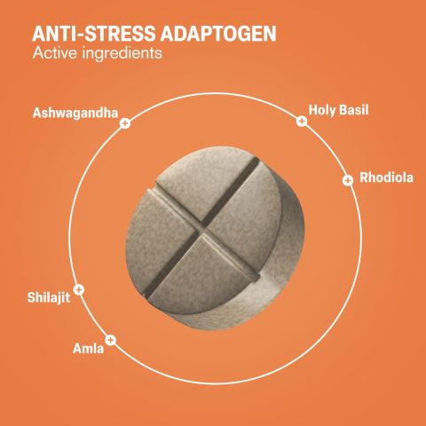 500mg Anti-Stress Tablets - Cardamon Vanilla Chai - Mood Tablets - Thumbnail 5